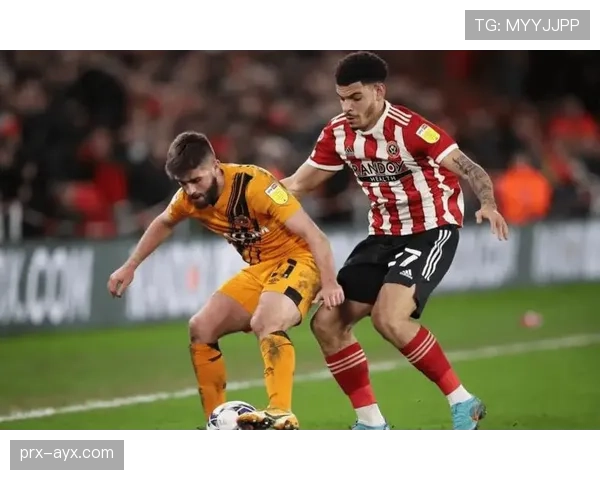 赫尔城迎战保级关键战，全力抢分力争英冠留级